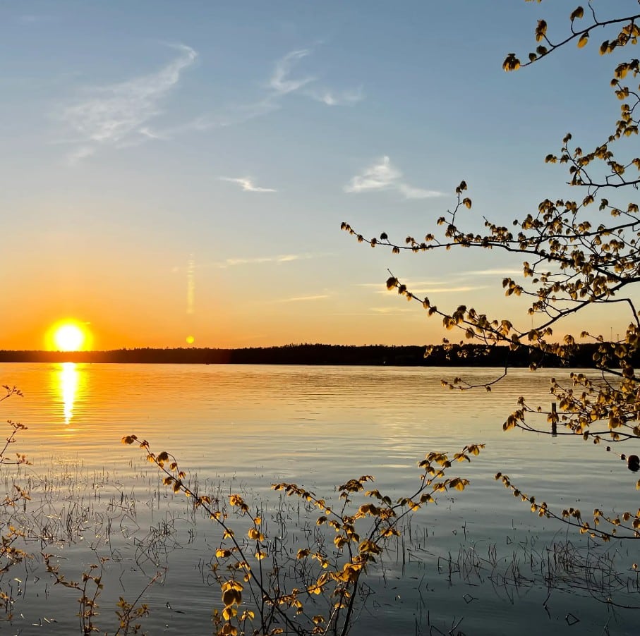 Gull Lake